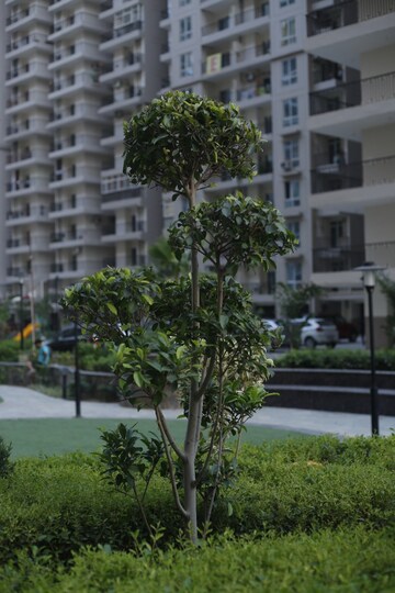 2 BHK Apartment – Exterior View View at Javin Raj Empire, Raj Nagar Extension - for Sale