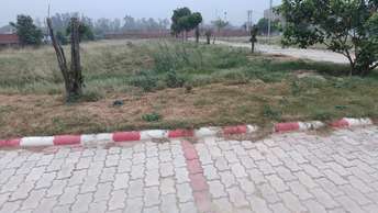  Plot For Resale in Gennex City Noida Ext Knowledge Park V Greater Noida 7161954