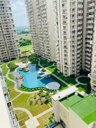 3 BHK Apartment For Resale in M3M Flora 68 Sector 68 Gurgaon  7161098