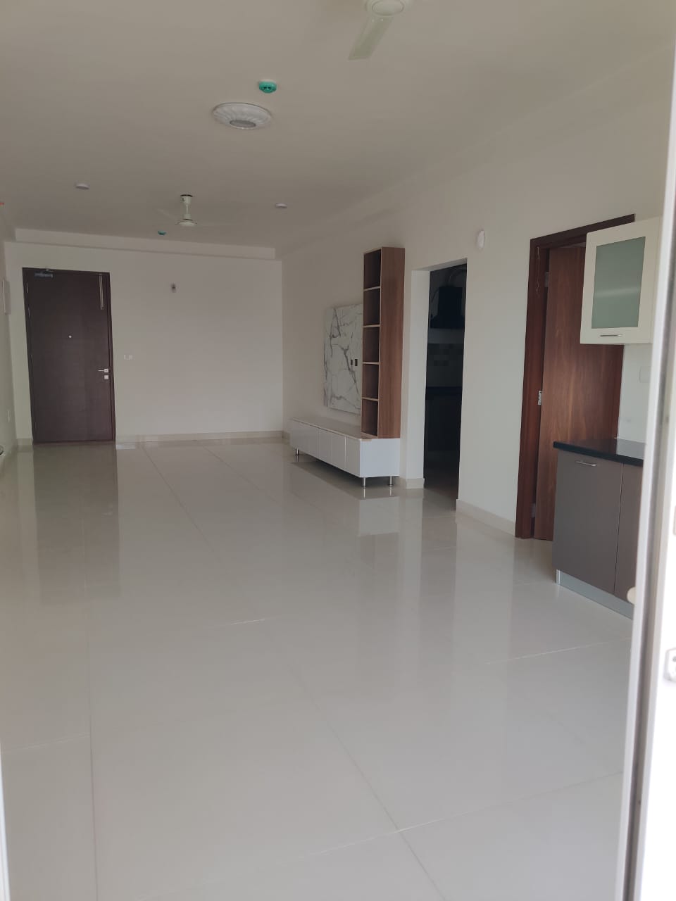 3.5 BHK Apartment For Rent in Kokapet Hyderabad  7163913