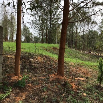 Plot Area in  Plot at Nelamangala – for Sale