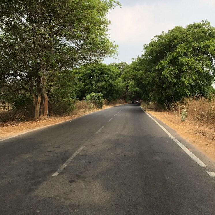 undefined, kunigal  42 Acre Plot In Kunigal Bangalore 7164156