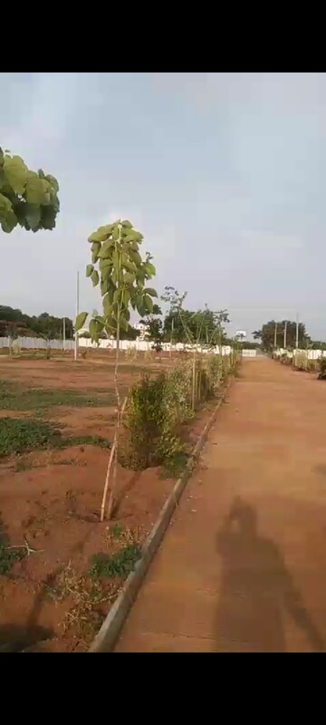 Plot Area in  Plot at Vantimamidi – for Sale
