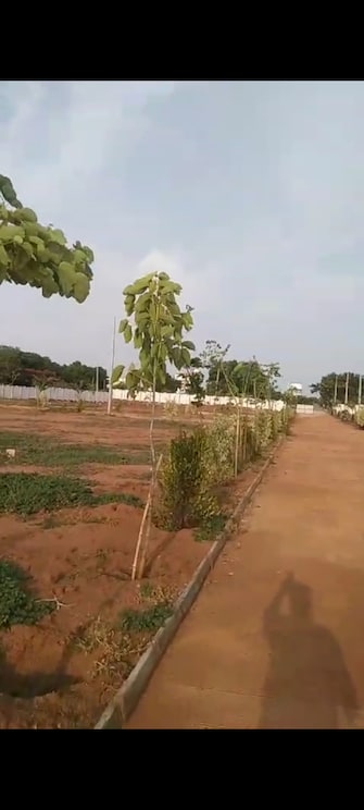 Plot For Resale in Vantimamidi Hyderabad  7164409