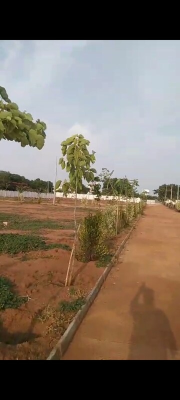 Plot Area in  Plot at Vantimamidi – for Sale