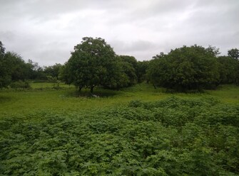 Commercial Land 2 Acre For Resale in Manisha Nagar Kalyan  7164522