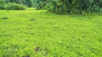 Commercial Land 2 Acre For Resale in Manisha Nagar Kalyan  7164522