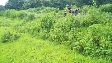  Land – Exterior View View at Manisha Nagar - for Sale