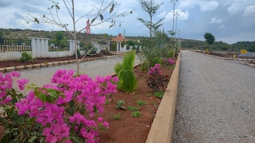  Plot – Exterior View View at Budhera - for Sale