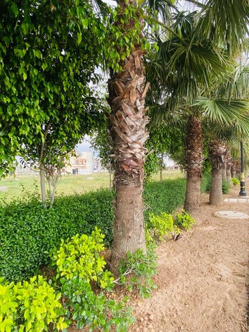  Plot – Exterior View View at Central Town, Vip Road - for Sale