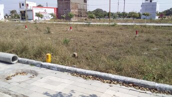 Plot For Resale in Ujjain Road Indore  7165941