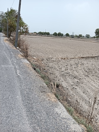 Commercial Land 18 Acre For Resale in Khari Baoli Delhi  7166021