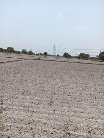 Commercial Land 18 Acre For Resale in Khari Baoli Delhi  7166021