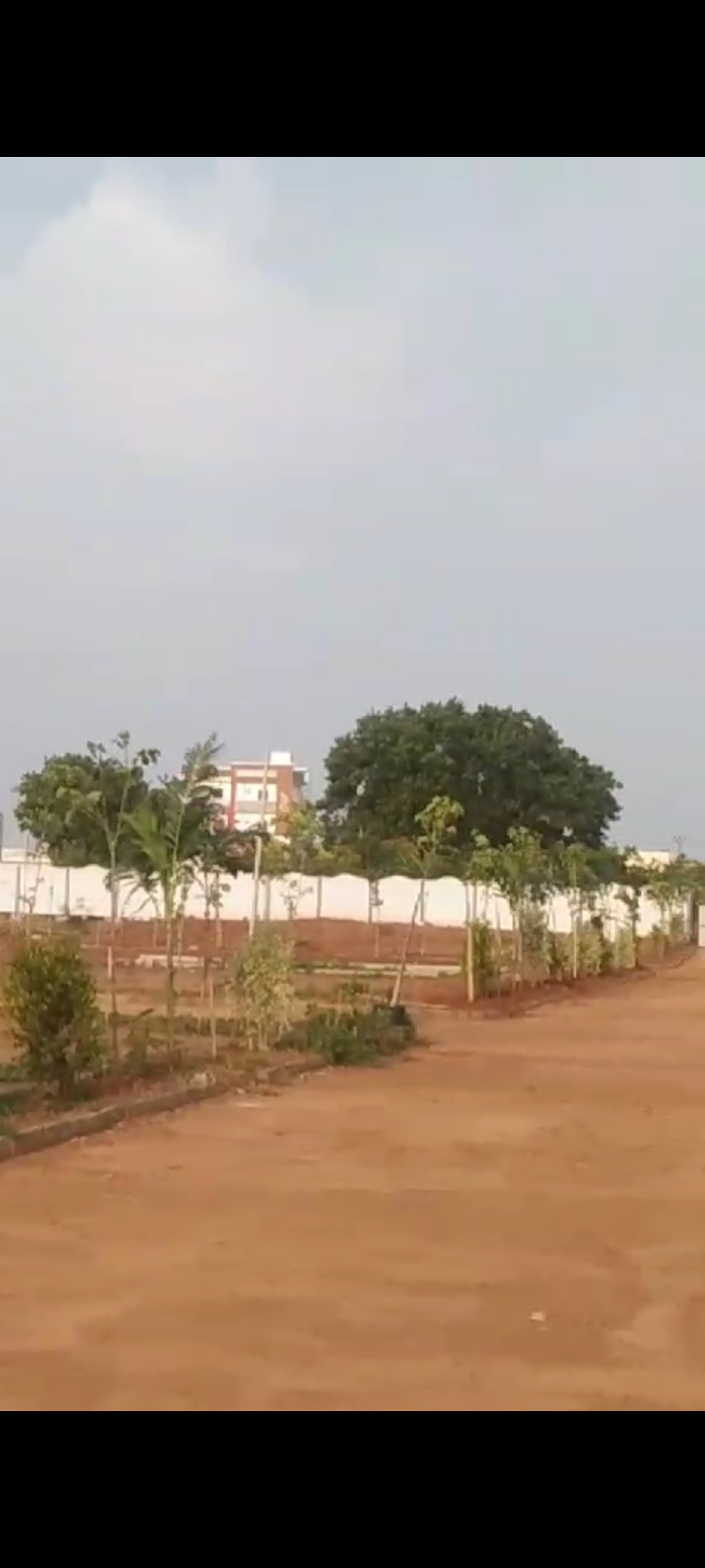 Plot For Resale in Vantimamidi Hyderabad  7166383