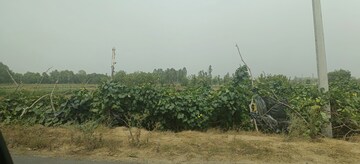 Plot Area in  Plot at Gangaganj – for Sale