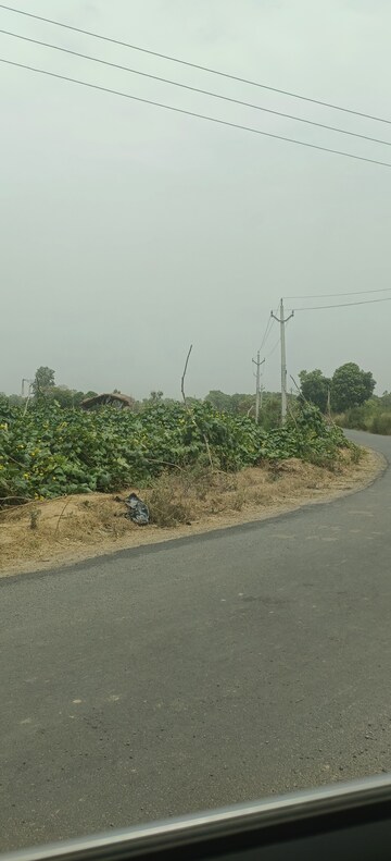 Plot Area in  Plot at Gangaganj – for Sale