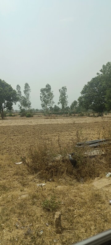 Plot Area in  Plot at Gangaganj – for Sale