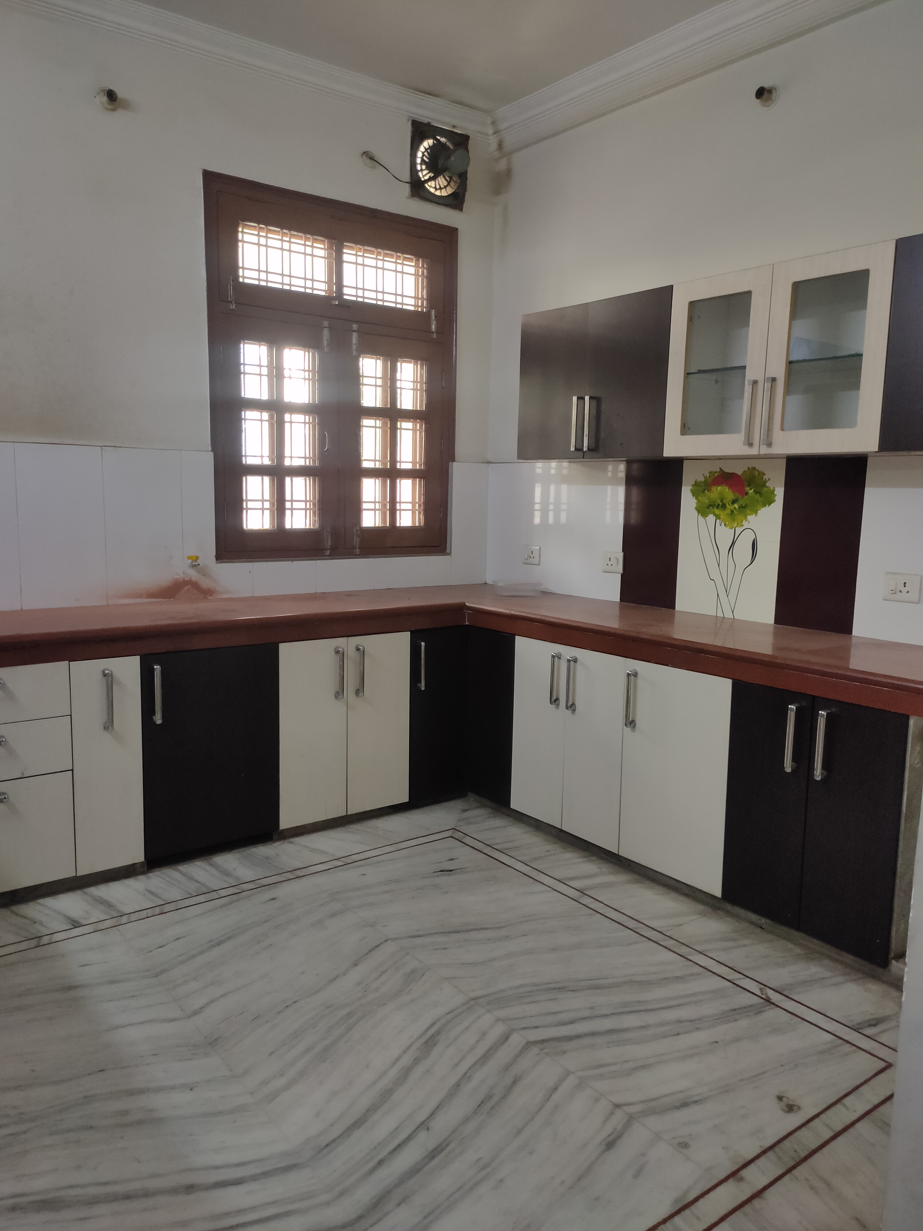 3.5 BHK Independent House For Rent in Gomti Nagar Lucknow  7168455