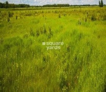 Plot Area in  Plot at Auroland Plot, Peeranchuruvu – for Sale