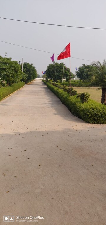  Plot For Sale in Yamuna Expressway