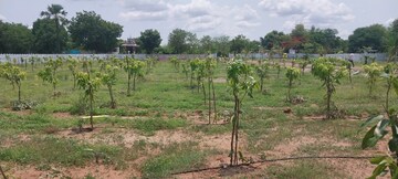 Plot Area in  Plot at Patelguda – for Sale