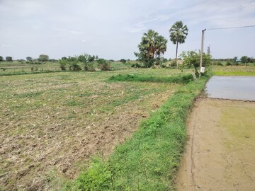 Plot Area in  Plot at Kacharam – for Sale
