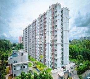 3 BHK Apartment For Rent in Bren EdgeWaters Kasavanahalli Bangalore 7172046