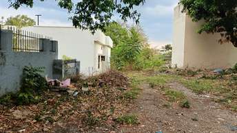 Plot For Resale in Hathibarkala Salwala Dehradun  7172321