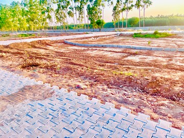  Plot For Sale in Lalru