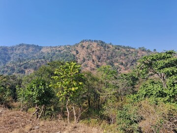 Plot Area in  Plot at Raipur – for Sale