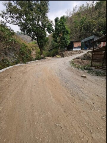Plot Area in  Plot at Bhogpur – for Sale