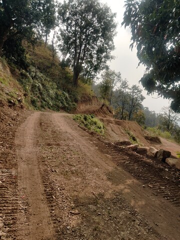 Plot Area in  Plot at Bhogpur – for Sale