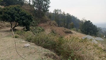 Plot Area in  Plot at Bhogpur – for Sale