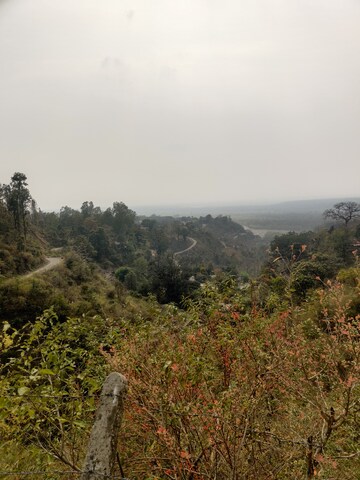  Plot – Exterior View View at Bhogpur - for Sale