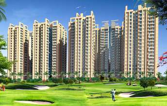 3 BHK Apartment For Resale in Amrapali Golf Homes Sector 4, Greater Noida Greater Noida  7174323