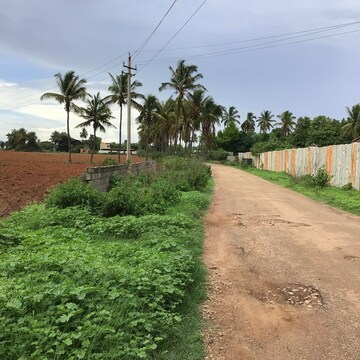  Plot For Sale in Devanahalli Road