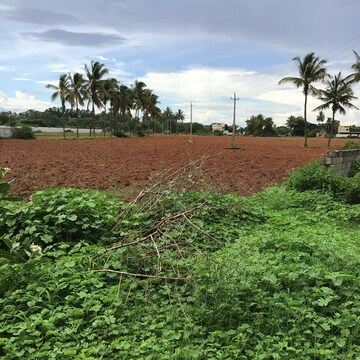 Plot Area in  Plot at Devanahalli Road – for Sale