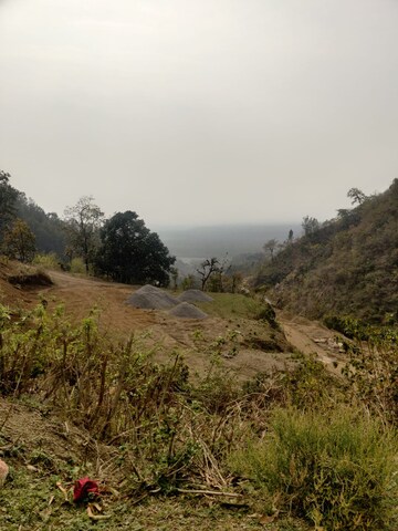 Plot Area in  Plot at Bhogpur – for Sale