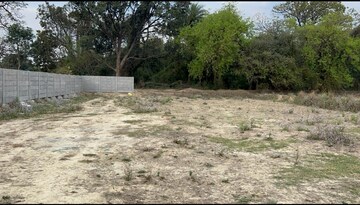  Plot For Sale in Jafrapur