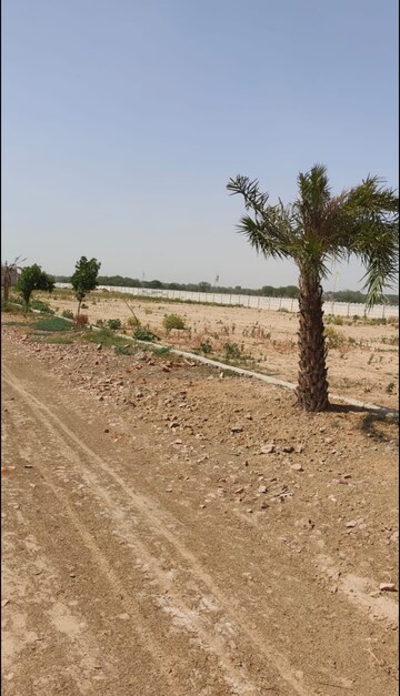Plot Area in  Plot at Jafrapur – for Sale