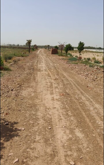 Plot Area in  Plot at Jafrapur – for Sale