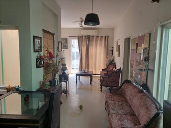 4 BHK Apartment For Resale in Tulip Violet Sector 69 Gurgaon  7181242