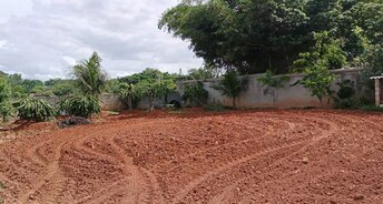 Plot For Resale in Harohalli Bangalore  7181260