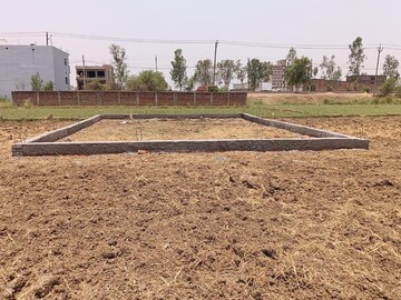 Plot Area in  Plot at Beldarichak – for Sale