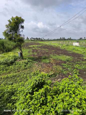 Commercial Land 11000 Sq.Ft. For Resale in Kupwad Sangli  7181730
