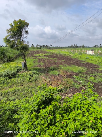 Commercial Land 11000 Sq.Ft. For Resale in Kupwad Sangli  7181730