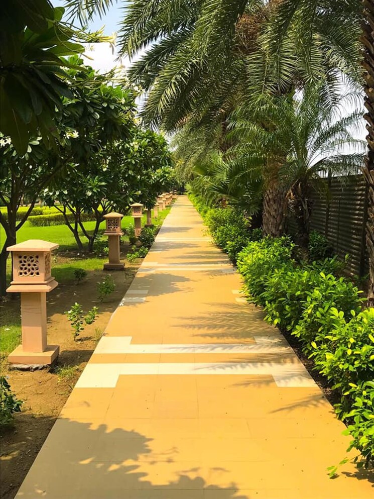 Garden, proview-delhi-99-phase-ii 3 Bedroom 1529 Sq.Ft. Apartment In Mohan Nagar Ghaziabad 7181876