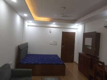 1 RK Apartment For Rent in DLF Capital Greens Phase I And II Moti Nagar Delhi  7182547