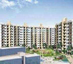 2 BHK Apartment For Rent in Salarpuria H And M Royal Kondhwa Pune  7182681