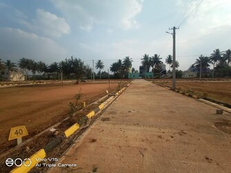 Plot For Resale in Vidya Nagar Bangalore  7182795